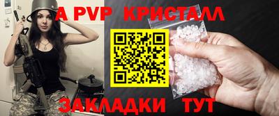 крисы Моздок