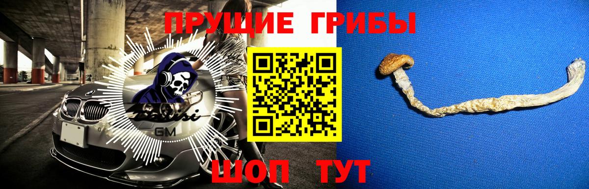 Галлюциногенные грибы мухоморы  Вход с VPN  Сунжа 
