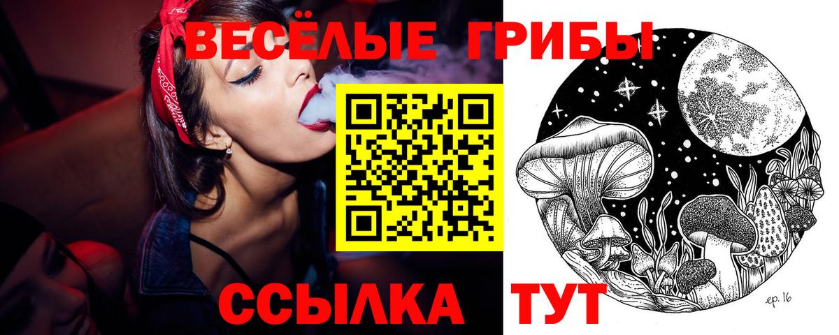 Галлюциногенные грибы GOLDEN TEACHER Сунжа